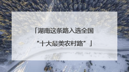 湖南这条路入选全国“十大最美农村路”
