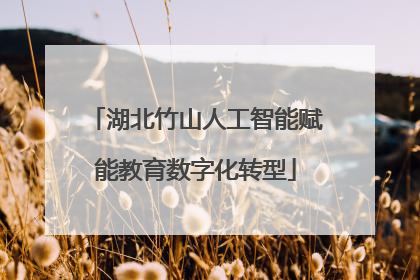 湖北竹山人工智能赋能教育数字化转型