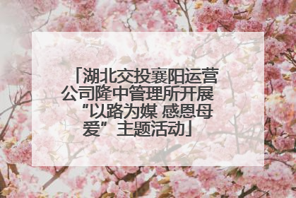 湖北交投襄阳运营公司隆中管理所开展“以路为媒 感恩母爱”主题活动