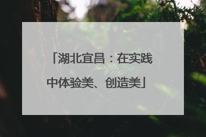 湖北宜昌：在实践中体验美、创造美