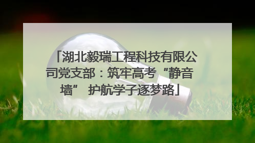 湖北毅瑞工程科技有限公司党支部：筑牢高考“静音墙” 护航学子逐梦路