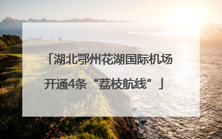 湖北鄂州花湖国际机场开通4条“荔枝航线”