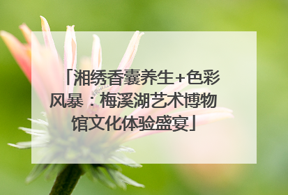 湘绣香囊养生+色彩风暴：梅溪湖艺术博物馆文化体验盛宴