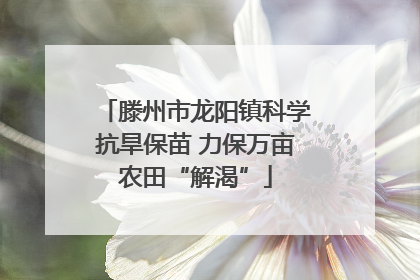 滕州市龙阳镇科学抗旱保苗 力保万亩农田“解渴”