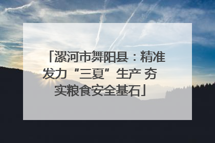 漯河市舞阳县：精准发力“三夏”生产 夯实粮食安全基石