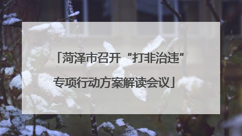 菏泽市召开“打非治违”专项行动方案解读会议