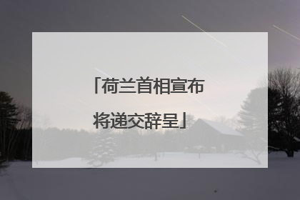 荷兰首相宣布将递交辞呈