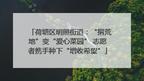 荷塘区明照街道：“撂荒地”变“爱心菜园” 志愿者携手种下“增收希望”