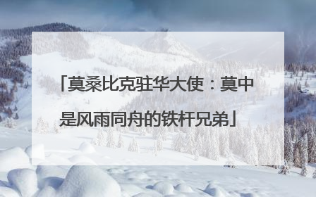 莫桑比克驻华大使：莫中是风雨同舟的铁杆兄弟