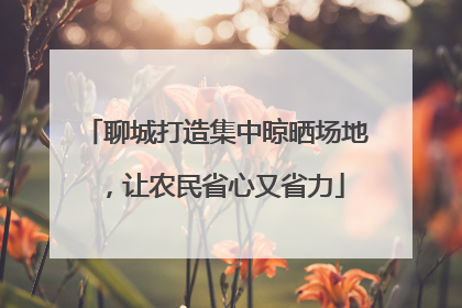 聊城打造集中晾晒场地，让农民省心又省力