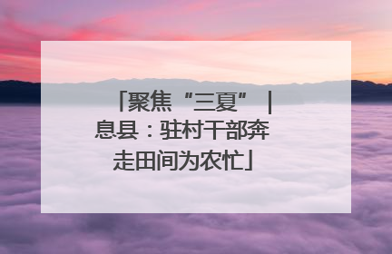 聚焦“三夏”｜息县：驻村干部奔走田间为农忙