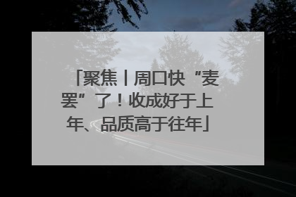 聚焦丨周口快“麦罢”了！收成好于上年、品质高于往年