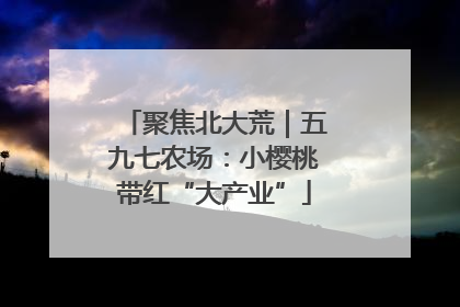 聚焦北大荒｜五九七农场：小樱桃带红“大产业”