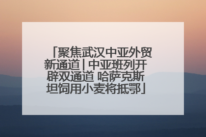 聚焦武汉中亚外贸新通道│中亚班列开辟双通道 哈萨克斯坦饲用小麦将抵鄂