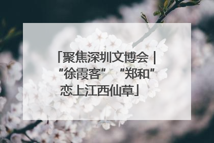 聚焦深圳文博会｜“徐霞客”“郑和”恋上江西仙草