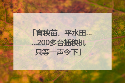 育秧苗、平水田……200多台插秧机只等一声令下