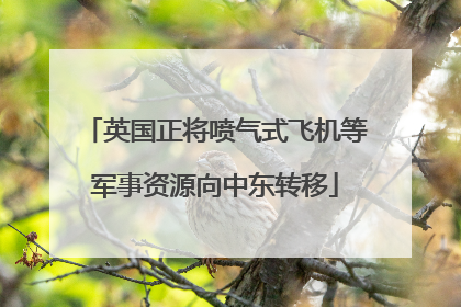 英国正将喷气式飞机等军事资源向中东转移