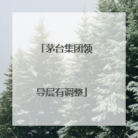 茅台集团领导层有调整