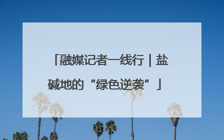 融媒记者一线行｜盐碱地的“绿色逆袭”