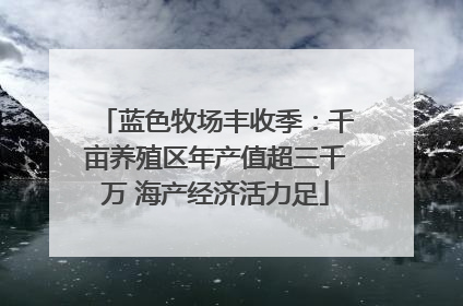 蓝色牧场丰收季：千亩养殖区年产值超三千万 海产经济活力足