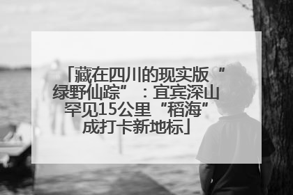 藏在四川的现实版“绿野仙踪”：宜宾深山罕见15公里“稻海”成打卡新地标