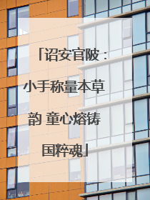 诏安官陂：小手称量本草韵 童心熔铸国粹魂