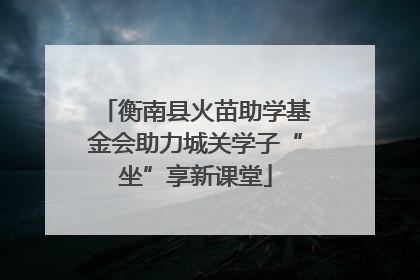 衡南县火苗助学基金会助力城关学子“坐”享新课堂