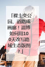 裸土变公园、道路成画廊！淄博如何用100天改写路域生态版图？