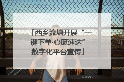 西乡流塘开展“一键下单·心愿速达”数字化平台宣传