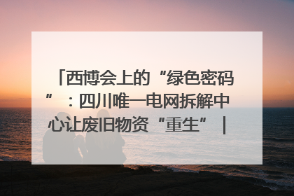 西博会上的“绿色密码”：四川唯一电网拆解中心让废旧物资“重生”｜西博寻“新”记