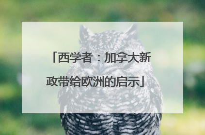 西学者：加拿大新政带给欧洲的启示