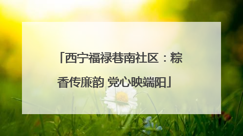 西宁福禄巷南社区：粽香传廉韵 党心映端阳