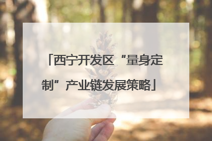 西宁开发区“量身定制”产业链发展策略