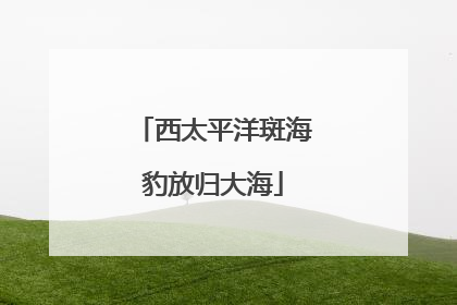 西太平洋斑海豹放归大海