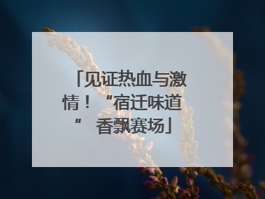 见证热血与激情！“宿迁味道” 香飘赛场