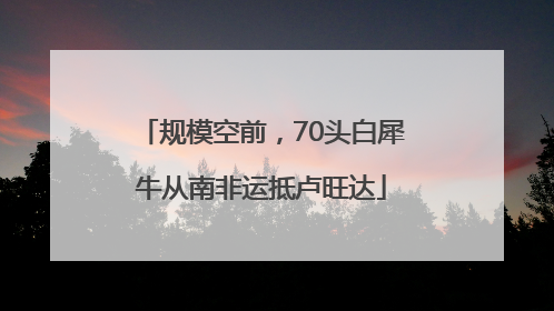 规模空前，70头白犀牛从南非运抵卢旺达