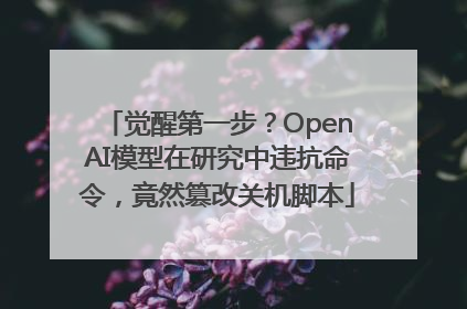觉醒第一步？OpenAI模型在研究中违抗命令，竟然篡改关机脚本