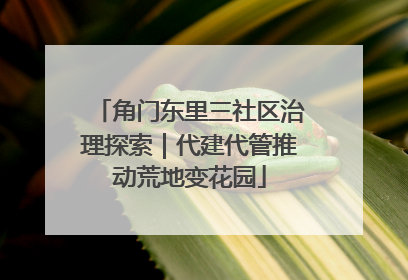 角门东里三社区治理探索｜代建代管推动荒地变花园