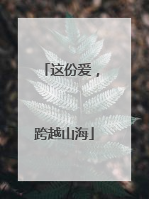 这份爱，跨越山海