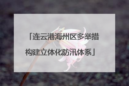 连云港海州区多举措构建立体化防汛体系