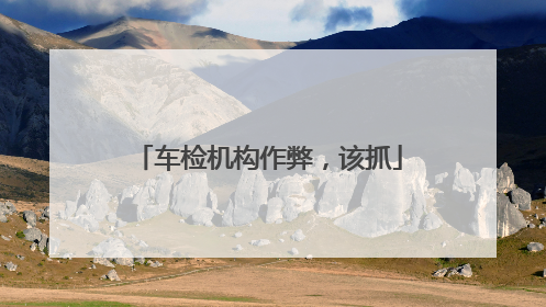 车检机构作弊，该抓