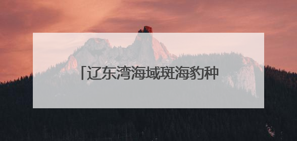辽东湾海域斑海豹种群数量呈现稳定增长