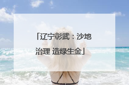 辽宁彰武：沙地治理 造绿生金