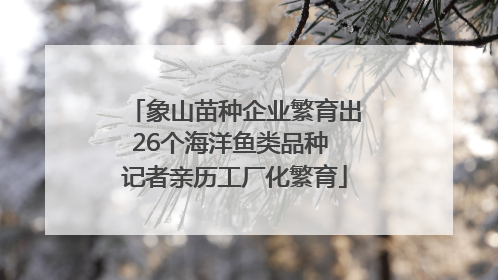 象山苗种企业繁育出26个海洋鱼类品种 记者亲历工厂化繁育