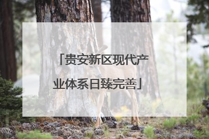 贵安新区现代产业体系日臻完善