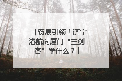 贸易引领！济宁港航向厦门“三剑客”学什么？
