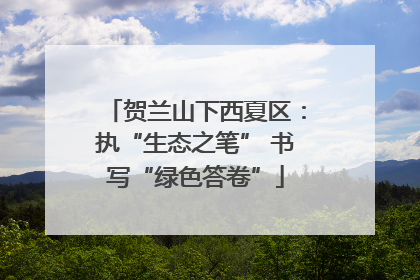 贺兰山下西夏区：执“生态之笔” 书写“绿色答卷”