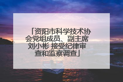 资阳市科学技术协会党组成员、副主席刘小彬 接受纪律审查和监察调查