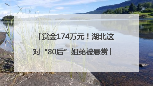 赏金174万元！湖北这对“80后”姐弟被悬赏