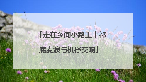 走在乡间小路上丨祁底麦浪与机杼交响